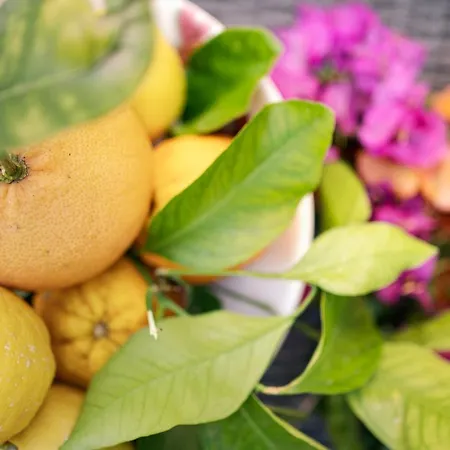 Bouganville House Appartement