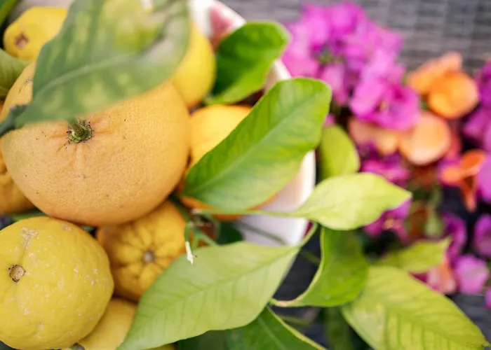 Bouganville House アパート